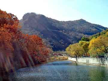 天天彩好彩天天免费，黄山奇石名字图片